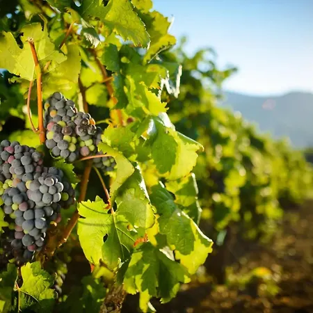 Viu2 Castle Villa Kaštela